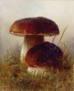 Кондратенко Г. П. Белые грибы