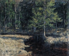 Жуковский С. Ю. В лесу