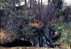 Жуковский С. Ю. Источник в лесу