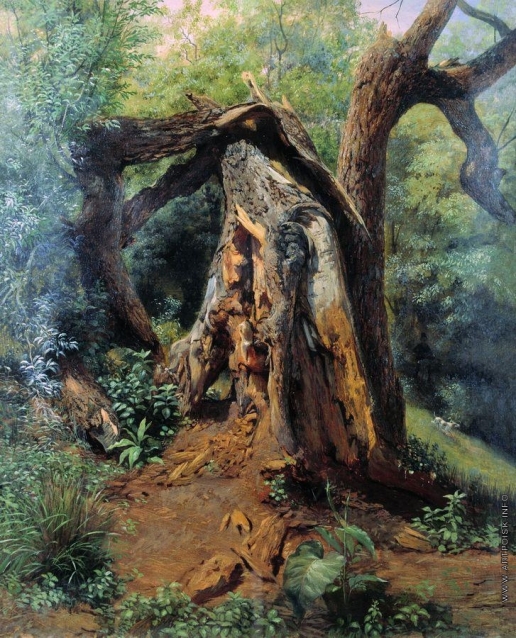 Лагорио Л. Ф. Старое дерево