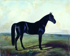 Сверчков Н. Е. Черная лошадь