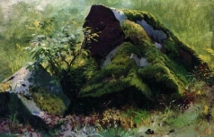 Шишкин И. И. Камни. 1880-