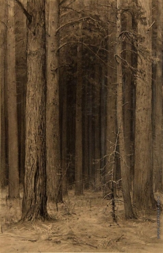 Шишкин И. И. Паутина в лесу