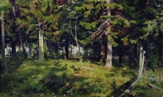 Шишкин И. И. Поляна в лесу
