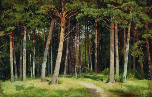 Шишкин И. И. Сосновый лес