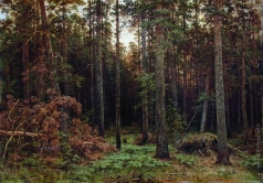 Шишкин И. И. Сосновый лес