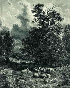 Шишкин И. И. Стадо овец на опушке леса